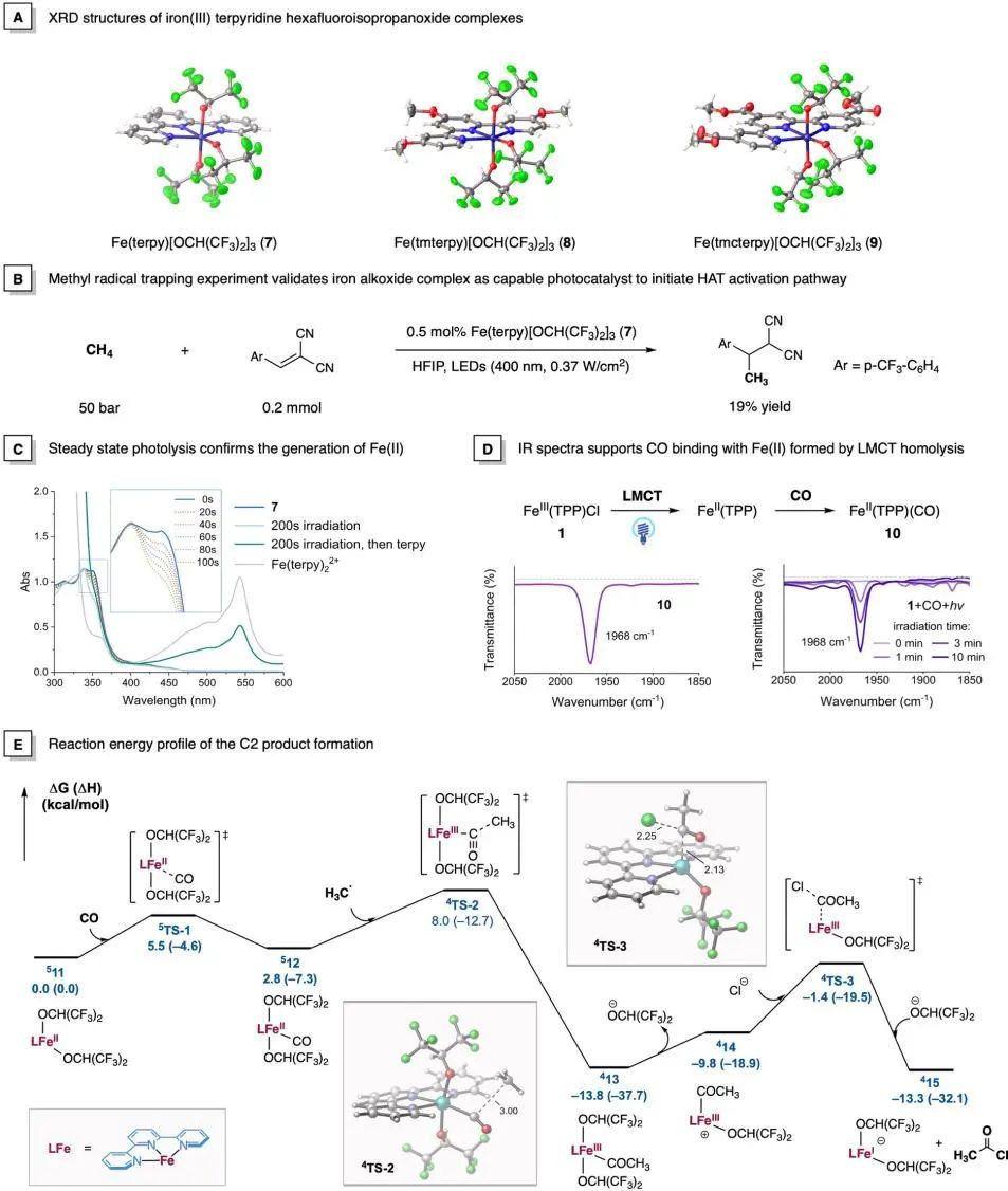 他，手握2篇Science，中科院上海有機化學研究所左智偉，發(fā)表JACS！