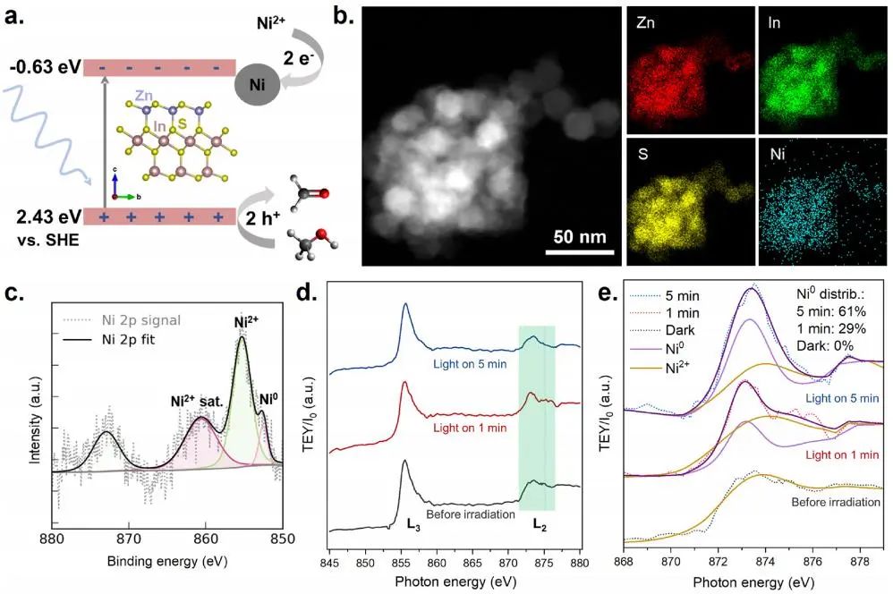 三院院士楊培東，2025年首篇JACS！