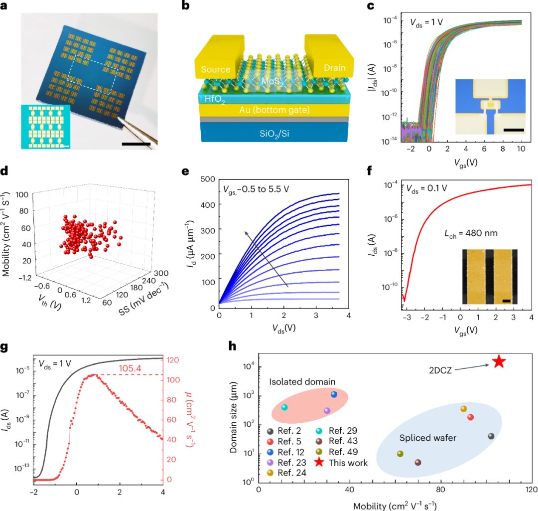 博士生一作！北京科技大學(xué)，2025年首篇Nature Materials！