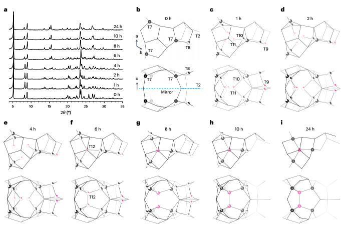 鄒曉冬院士/華東師大「長江/杰青」吳鵬，最新Nature Synthesis！