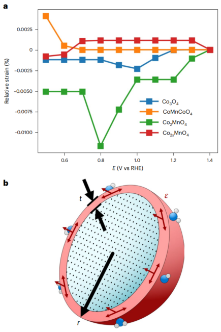 他，康奈爾大學博士，一作新發(fā)Nature Catalysis！