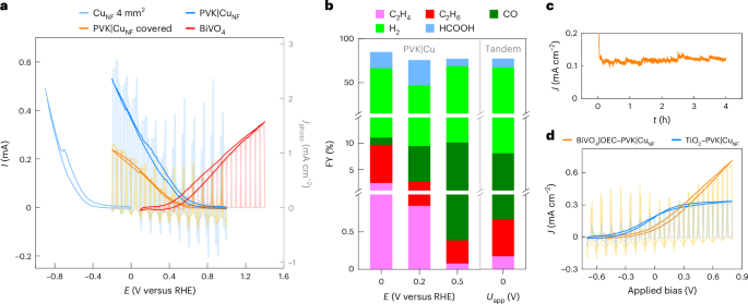 重磅！他，10年當選三院院士，最新Nature Catalysis！