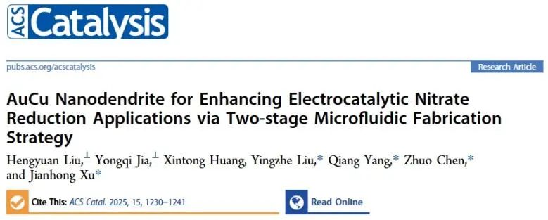 華理/清華/廈門(mén)理工ACS Catal.: 兩級(jí)微流控制技術(shù)制備AuCu納米枝晶，增強(qiáng)電催化NO3-還原