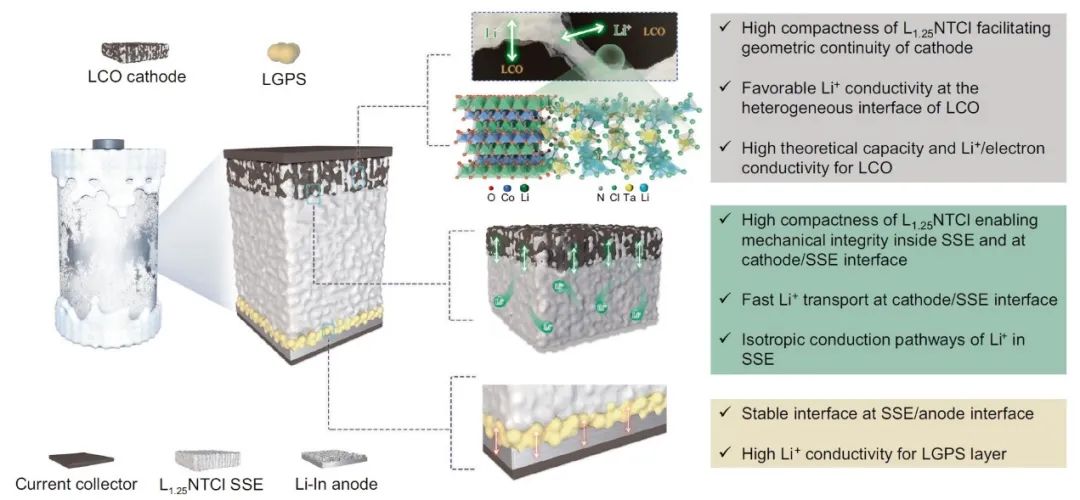 ?-60℃極低溫固態(tài)電池！博士生一作！北大深研院，Nature子刊！