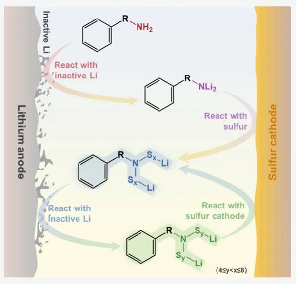 北京理工大學(xué)，ACS Energy Letters：重新激活不活躍的鋰實(shí)現(xiàn)長(zhǎng)循環(huán)鋰-硫電池