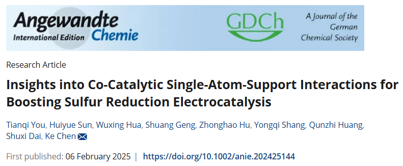 單原子催化！河南大學(xué)「國(guó)家高層次青年人才」，新發(fā)Angew！