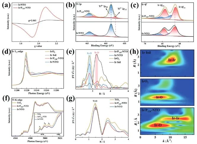 福州大學，新發(fā)AFM！