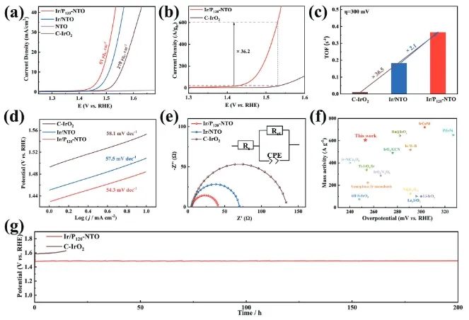 福州大學，新發(fā)AFM！